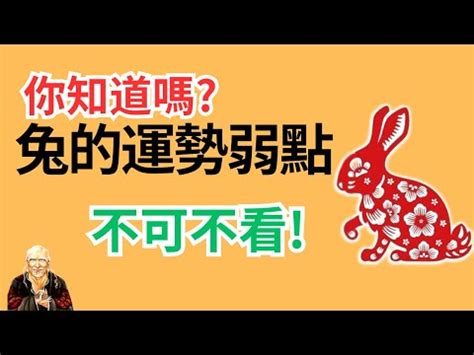 屬龍塔位方向|【屬龍塔位方向】「建議方位選屬龍塔位！」你絕對不能錯過的風。